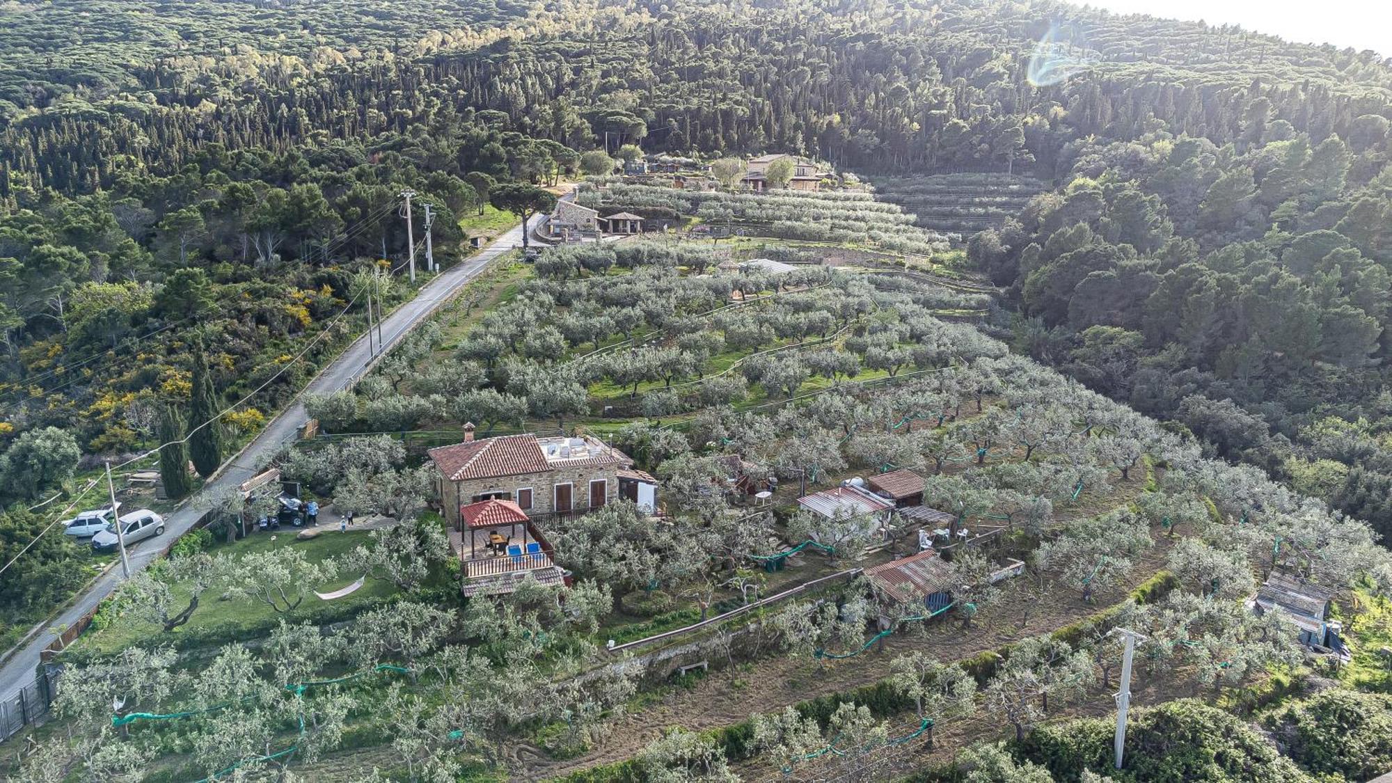 Bellezza In Cilento Panoramic Apts Apartment Castellabate Exterior photo