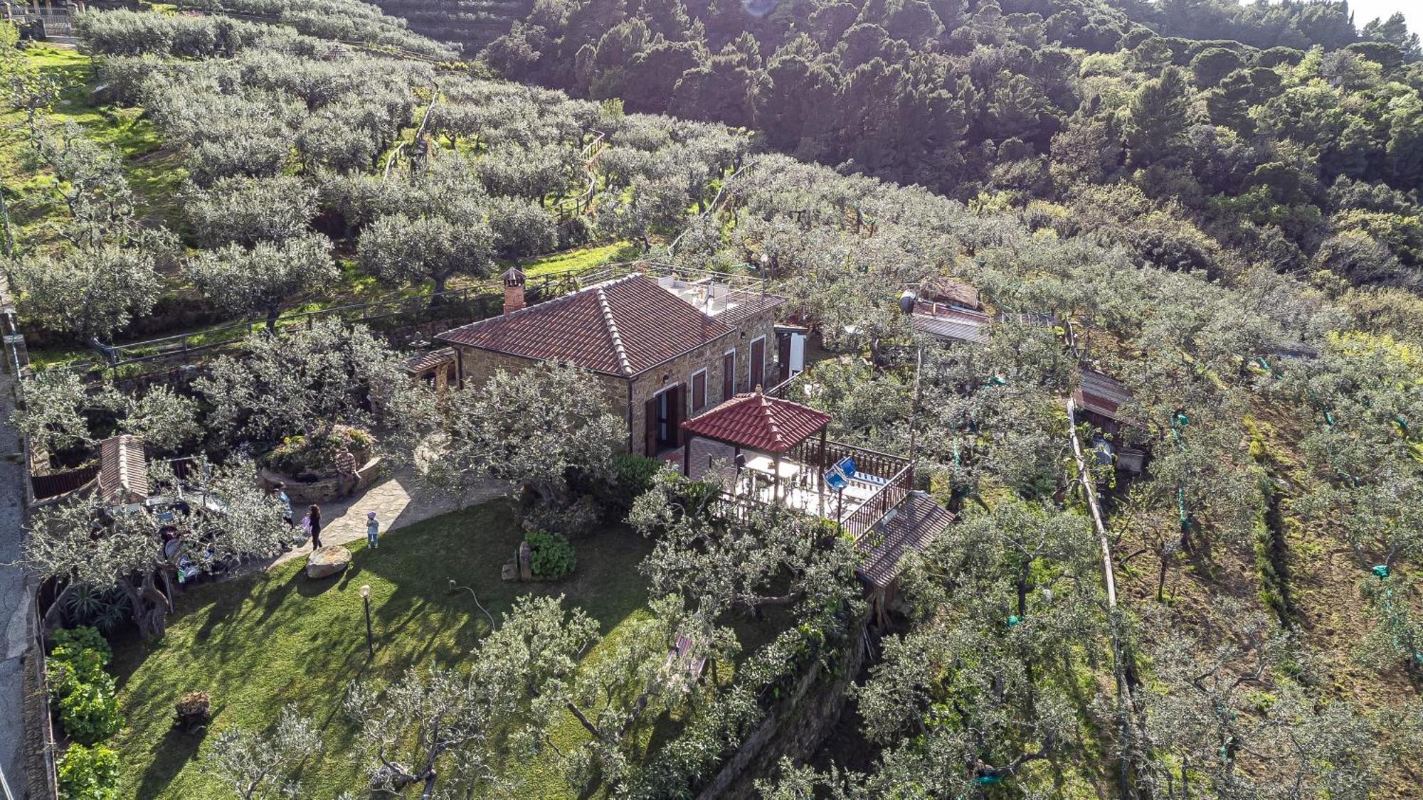 Bellezza In Cilento Panoramic Apts Castellabate Exterior photo